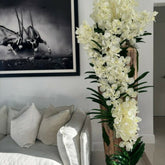 Vaso Grande de Teca Live Edge com Orquídeas Vanda Brancas