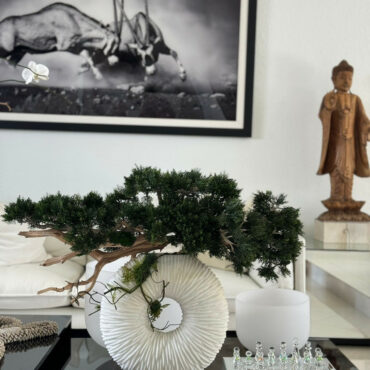 Vaso Eternity Médio com Árvore Bonsai Pendente e Driftwood