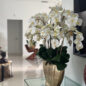 Vaso Vivien Dourado com Orquídeas Phalaenopsis Brancas