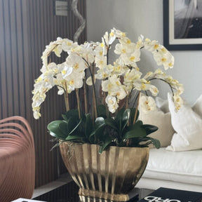 Vaso Vivien Dourado com Orquídeas Phalaenopsis Brancas
