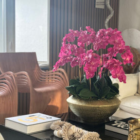 Vaso Blaze Bowl com Orquídeas Phalaenopsis Rosas