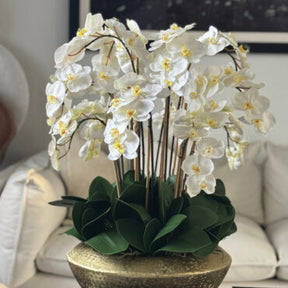 Vaso Blaze Bowl com Orquídeas Phalaenopsis Brancas