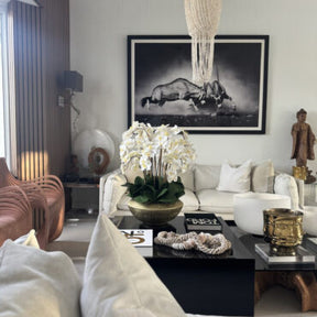 Vaso Blaze Bowl com Orquídeas Phalaenopsis Brancas