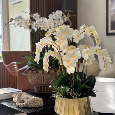 Vaso Helena Boat com Orquídeas Phalaenopsis Brancas