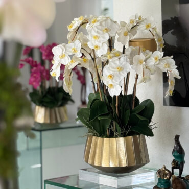 Vaso Helena Boat com Orquídeas Phalaenopsis Brancas