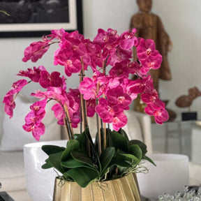 Vaso Helena Boat com Orquídeas Phalaenopsis Rosas