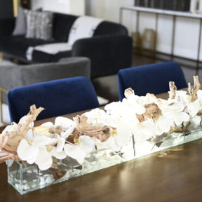 Cachepô de vidro Casa Moderna com Orquídeas Phalaenopsis Brancas