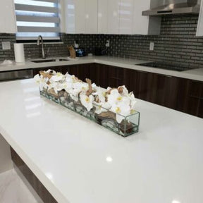 Cachepô de vidro Casa Moderna com Orquídeas Phalaenopsis Brancas