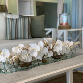 Cachepô de vidro Casa Moderna com Orquídeas Phalaenopsis Brancas