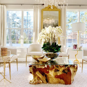 Tigela Avenue com Orquídeas Phalaenopsis Brancas