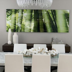 Cachepô de vidro Casa Moderna com Orquídeas Phalaenopsis Brancas