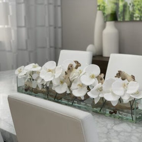Cachepô de vidro Casa Moderna com Orquídeas Phalaenopsis Brancas